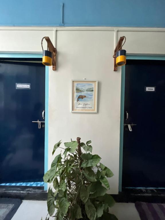 uma planta na frente de duas portas azuis em Assam Home Hostel Project em Guwahati