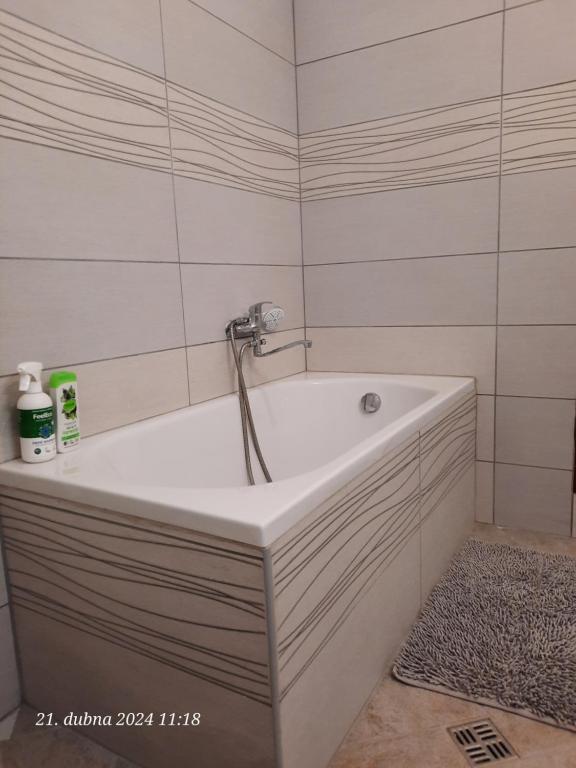 Koupelna v ubytování Skromný apartmán v centru Chebu, 3. Floor
