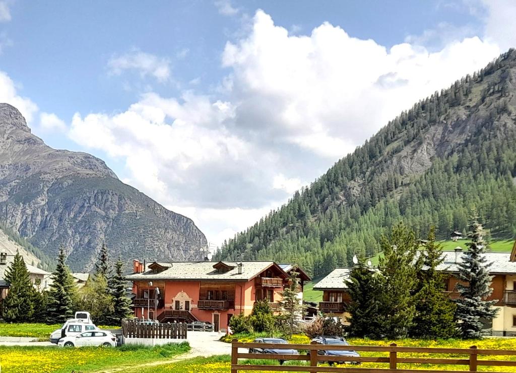 uma casa no meio de uma montanha em Appartamento Joemy em Livigno