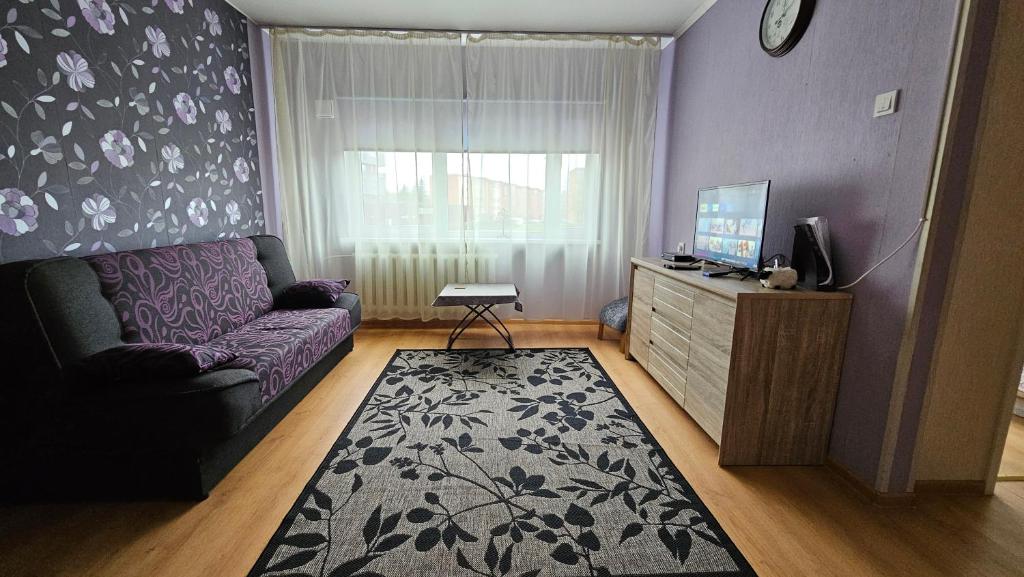uma sala de estar com um sofá e uma televisão em Smile Appartment em Tartu