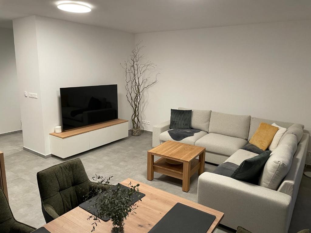 een woonkamer met een bank en een tv bij Apartmán NAVIA obklopený prírodou a spa in Rajecké Teplice