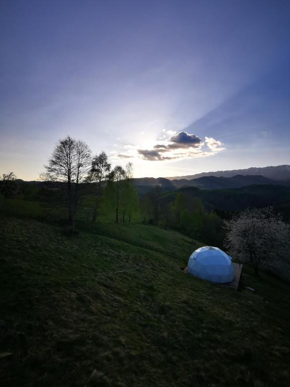 Příroda nedaleko luxury tent