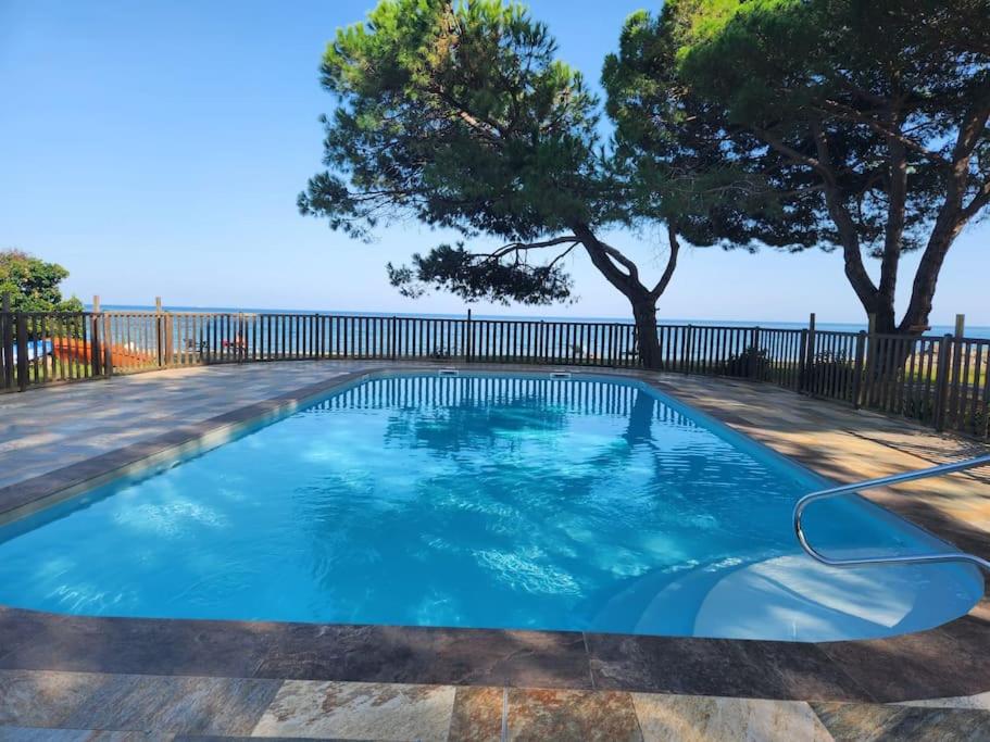 a swimming pool with a view of the ocean at Mini Villa Bord de Mer - Idylle BY MONARCA in San-Nicolao