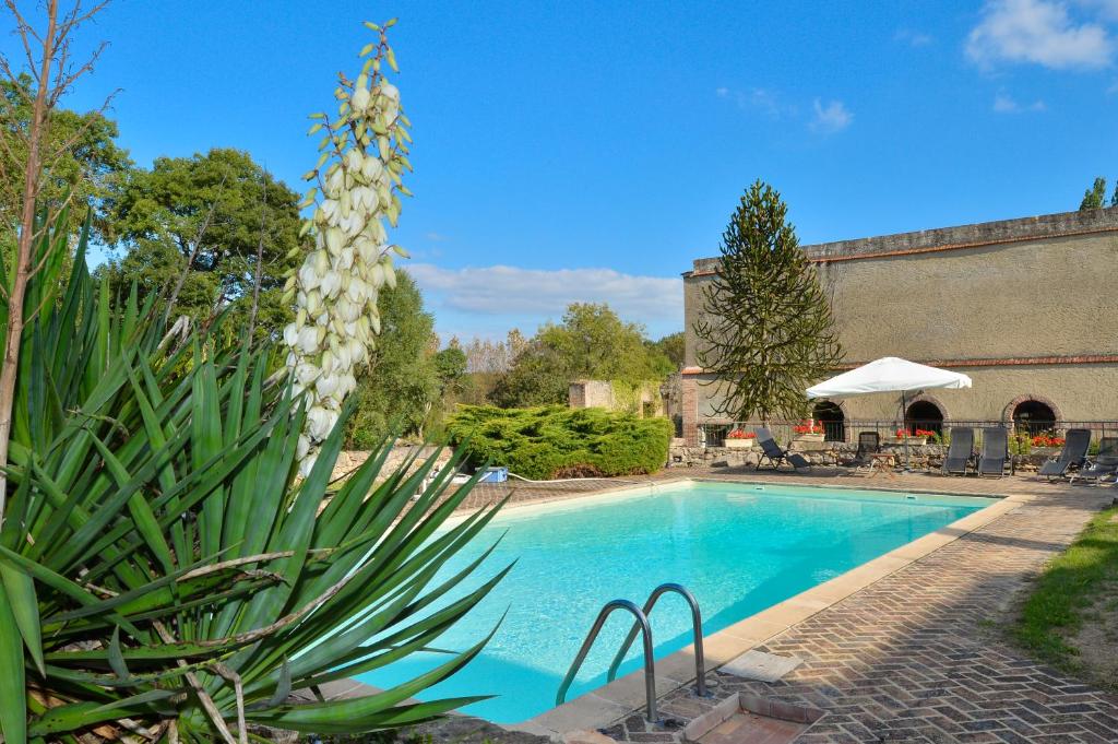 een zwembad in een tuin met een plant bij Domaine de la Courbe Hôtel & Spa in Le Lude