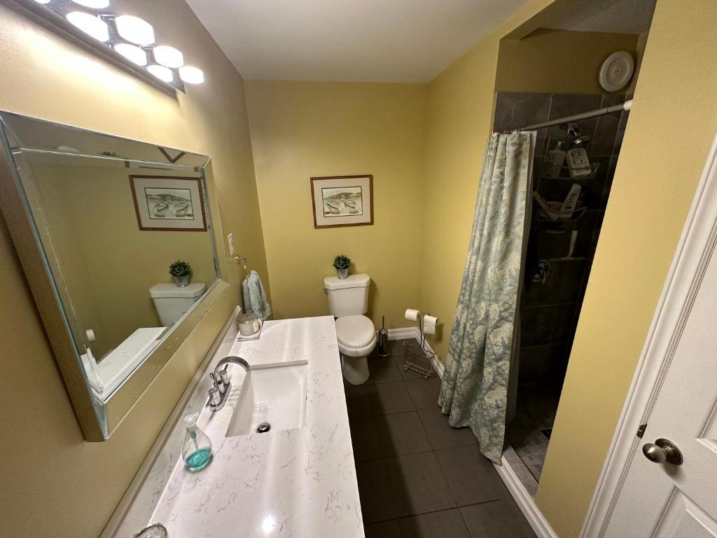a bathroom with a sink and a toilet and a mirror at Eden Estate B&B in Reidville