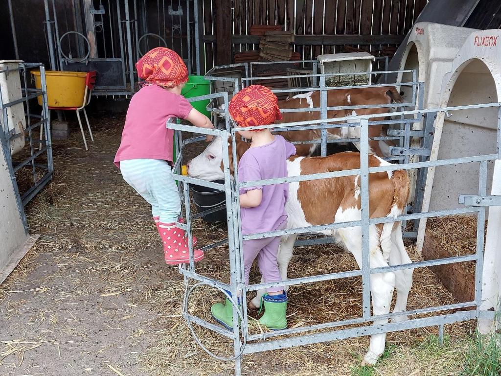 Zwei Kinder sehen eine Kuh in einem Stift in der Unterkunft Fuchsbauernhof in Piding