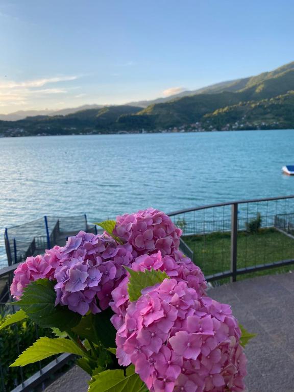 a bunch of pink flowers sitting on a railing near the water at Villa Lake in Konjic