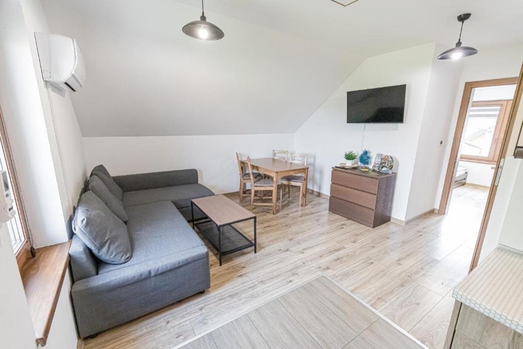Televízia a/alebo spoločenská miestnosť v ubytovaní Zator Lider House Energy