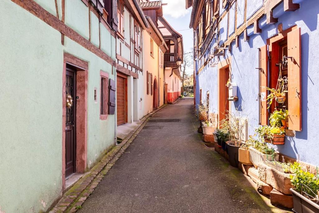 Le Gîte de Sandra – photo 9