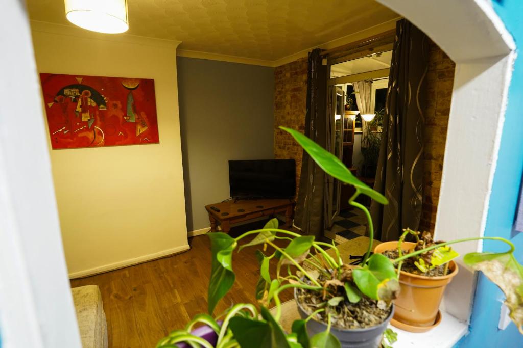 a room with potted plants and a room with a mirror at 3 Bedroom home by Ipswich docks. in Ipswich