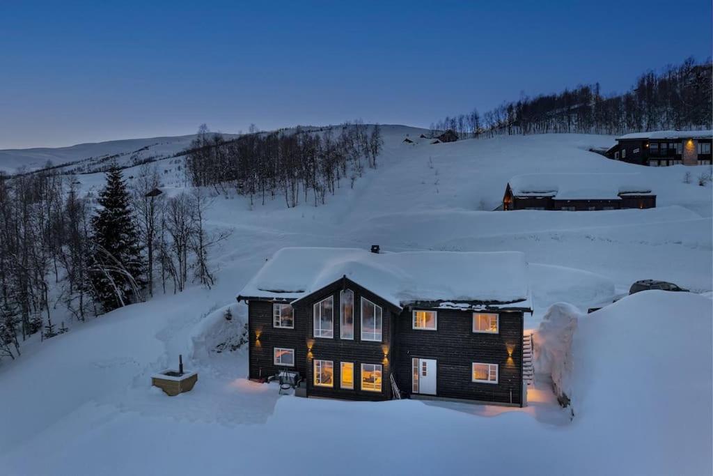 Το Hodlekvevegen 301, Ski inn/ut τον χειμώνα