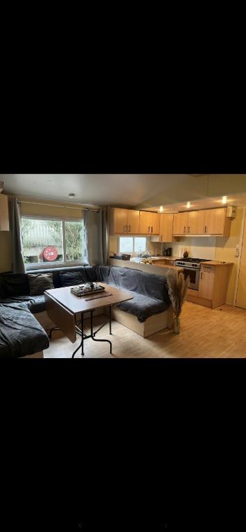un salon avec un canapé et une table dans l'établissement Mobilhome 6 personnes climatisé, à Villeneuve-lès-Maguelone