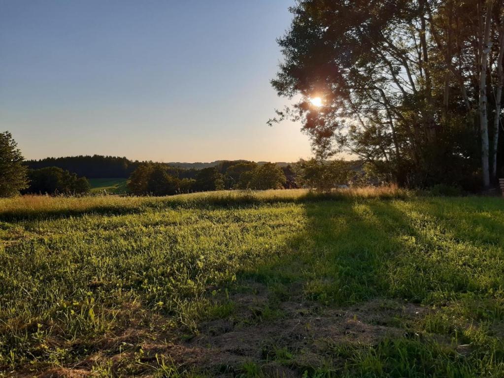 a field with the sun setting in the background at Zum Gänseglück in Reut