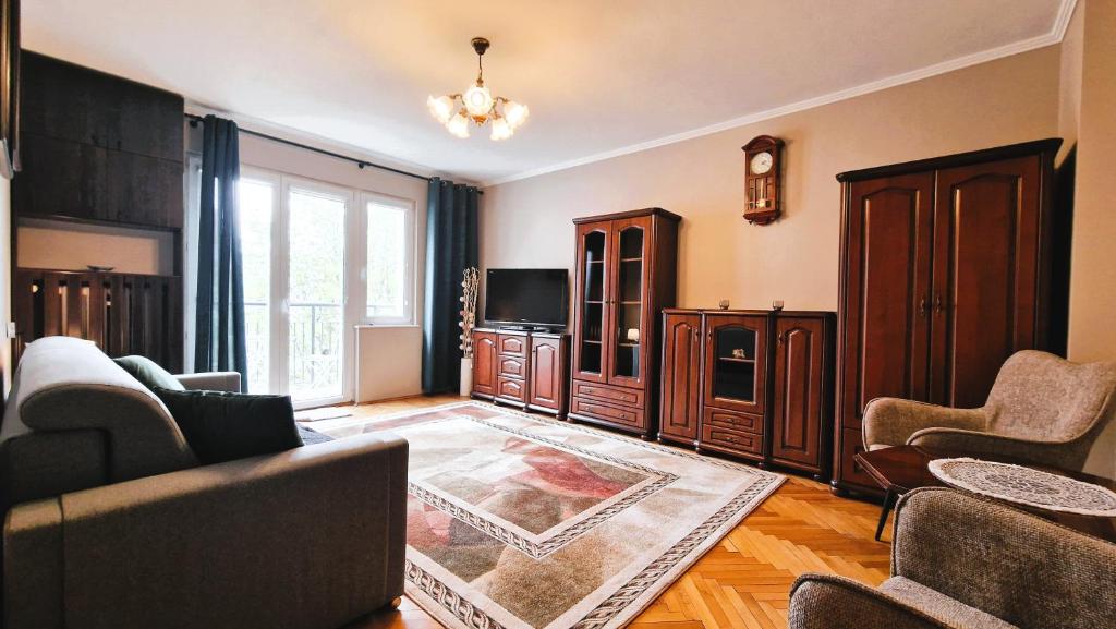uma sala de estar com um sofá e uma televisão em Zamkowa Apartment Gdańsk em Gdansk