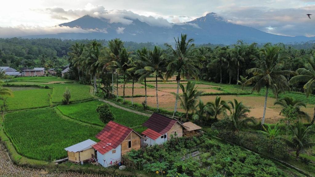 a small house in a field with a mountain in the background at Padi Bungalows in Tetebatu