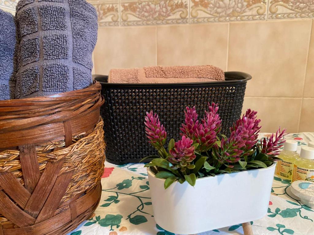 Fotografie z fotogalerie ubytování Guest House Persa v destinaci Gjirokastër