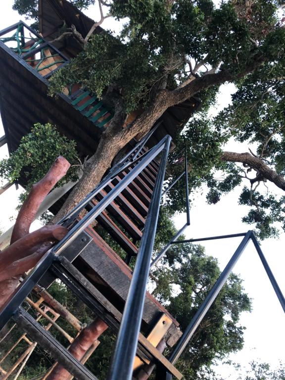een boomhut met een ladder in een boom bij Eagle Eye Yala in Yala