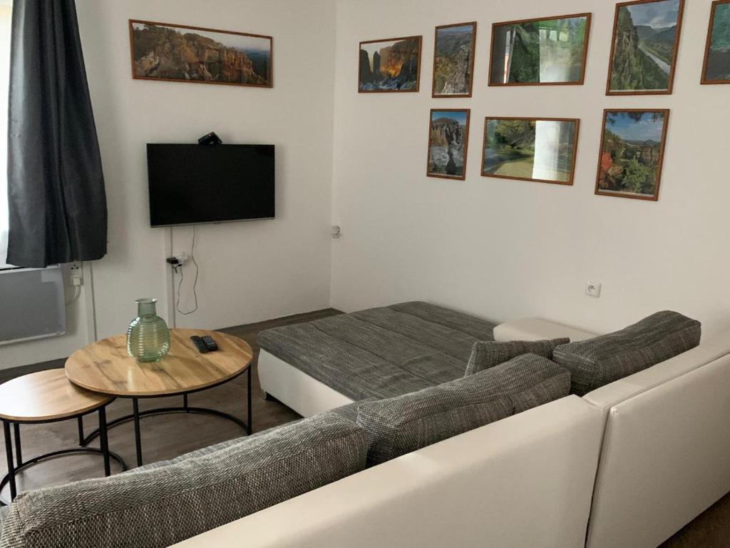 TV a/nebo společenská místnost v ubytování hřensko 114