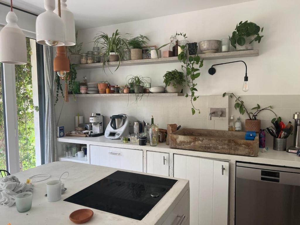 a kitchen with a counter with plants on shelves at Maison aux portes de Paris in Pantin