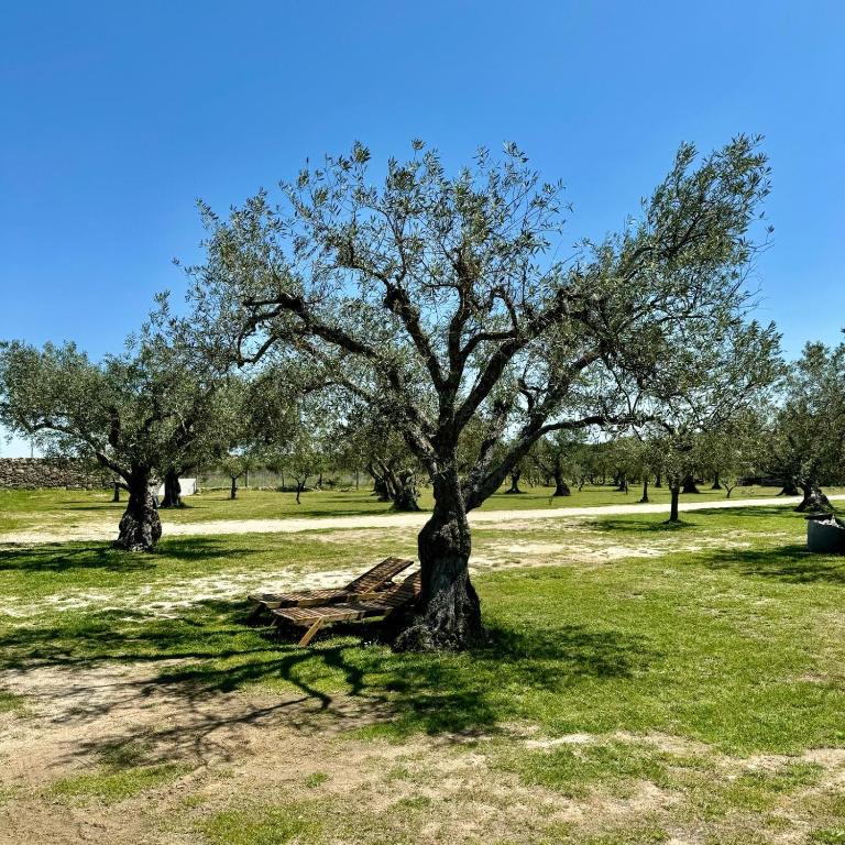 Quinta do Nobre - 18