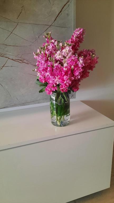 um vaso cheio de flores cor-de-rosa sentado numa mesa em Center apartament em Fier