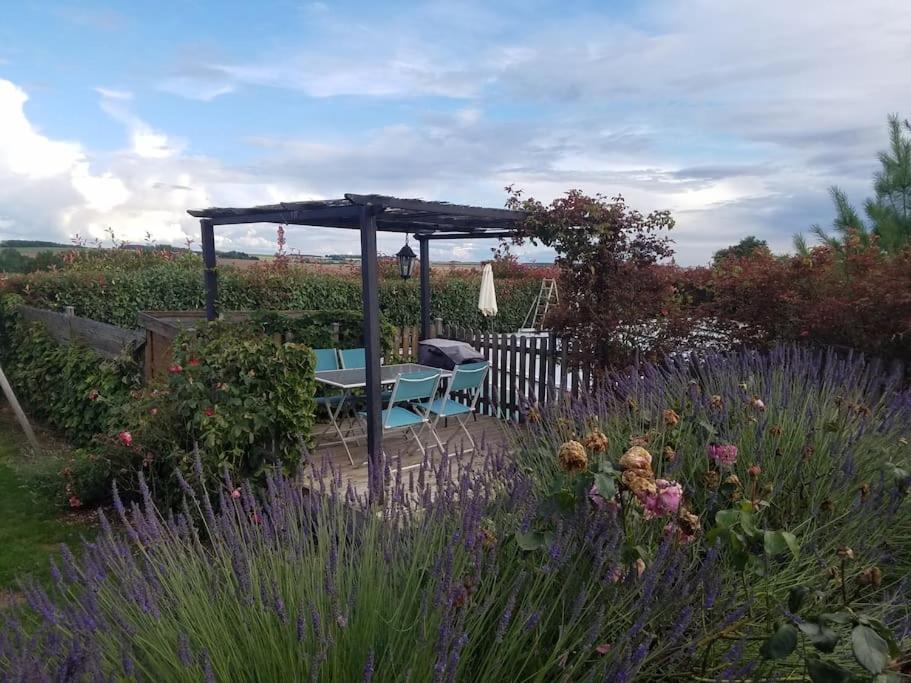 een tuin met een tafel en een parasol bij Maison chaleureuse avec piscine et SPA en option in Levroux