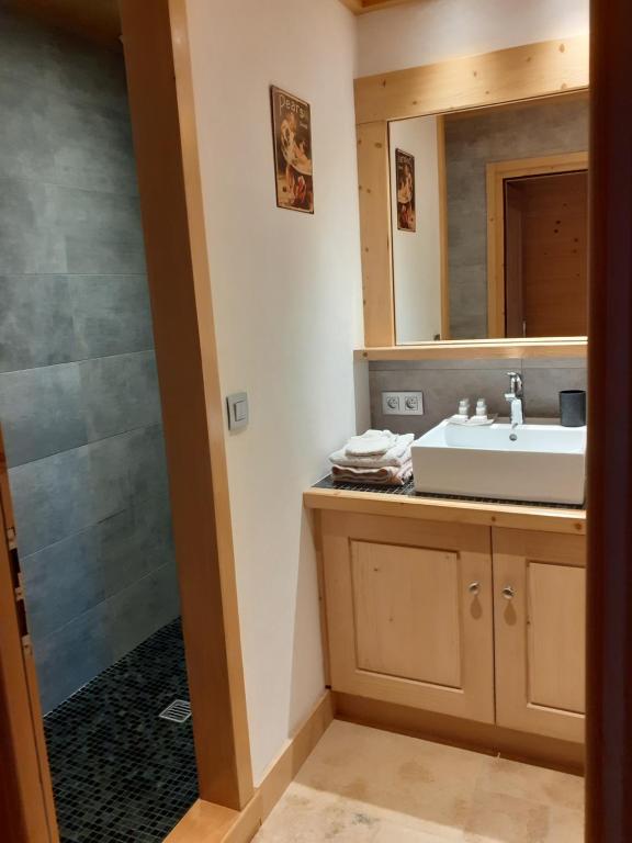 Koupelna v ubytování Appartement alp'intages