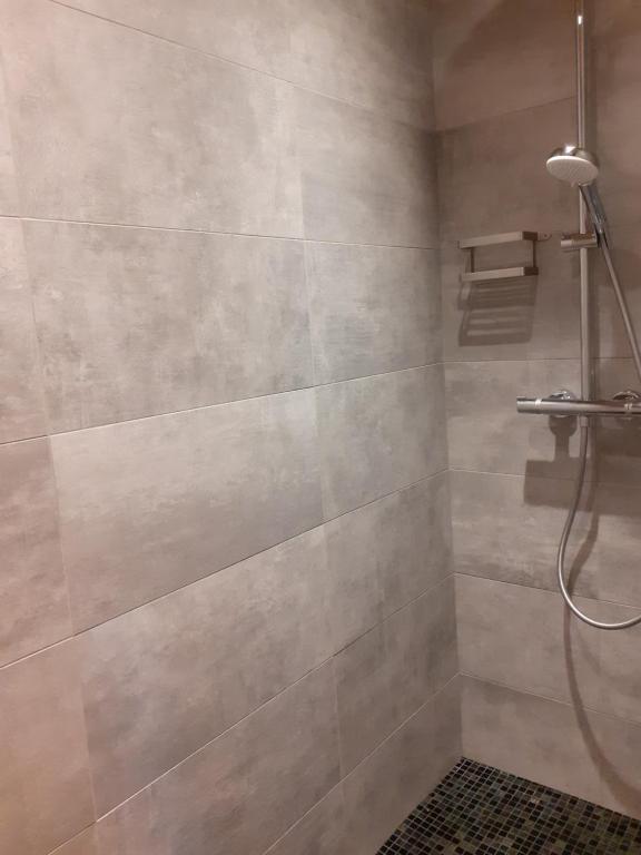 Koupelna v ubytování Appartement alp'intages