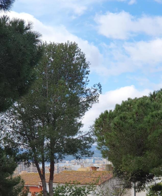 a group of trees with a city in the background at Apartament Roqueta in Palamós