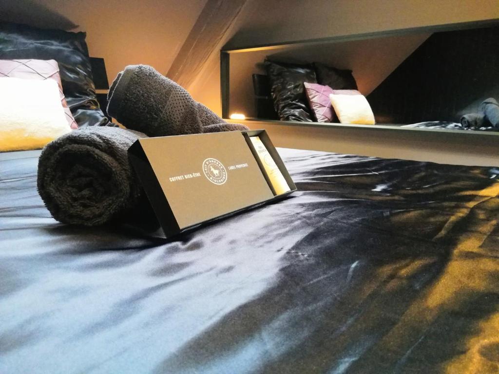 a book sitting on top of a bed at Love Room Alsace L'ESCALE DU DESIR - Balançoire d'amour, Croix de Saint André, Menottes et Fauteuil Tantra - CROISEE DES PARCS in Niederbronn-les-Bains