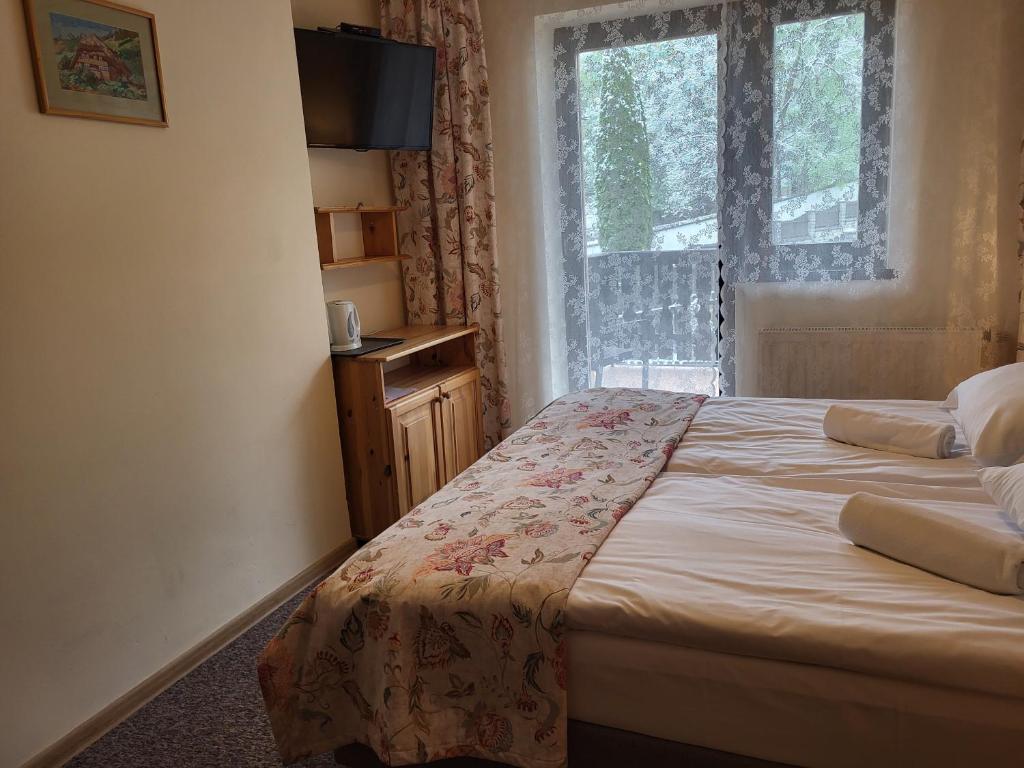 Sasanka przy Gondoli - 7