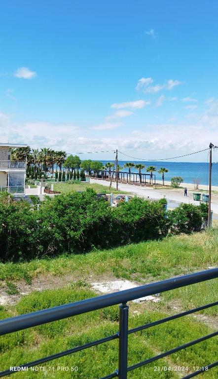 a view of a beach with palm trees and the ocean at sea breeze epivates in Neoi Epivates