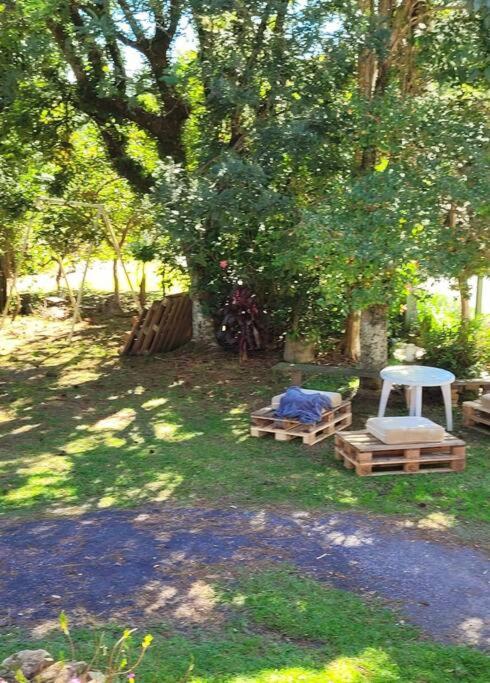 Zahrada ubytování Autêntica Casa da Vó