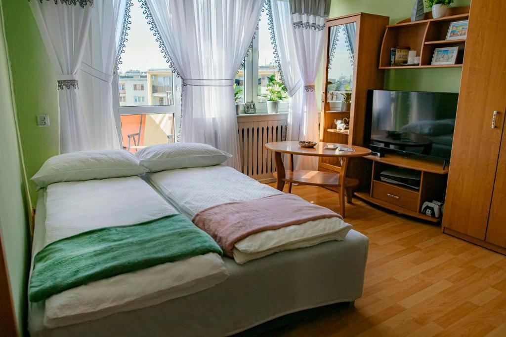 a bedroom with a bed and a tv and a window at Mieszkanie Słoneczny Sandomierz in Sandomierz