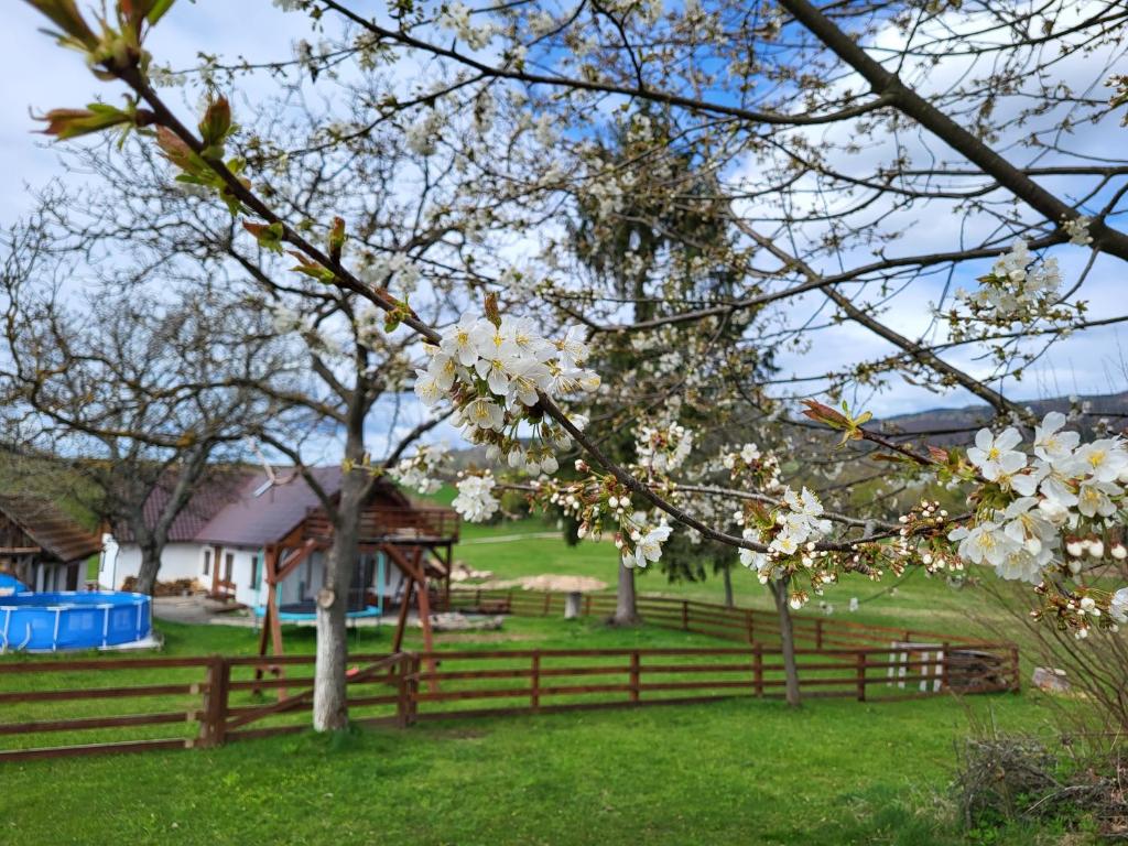 einen Zaun und Bäume mit weißen Blumen im Hof in der Unterkunft Chalupa Romantik na Hrinovskych lazoch in Hriňová