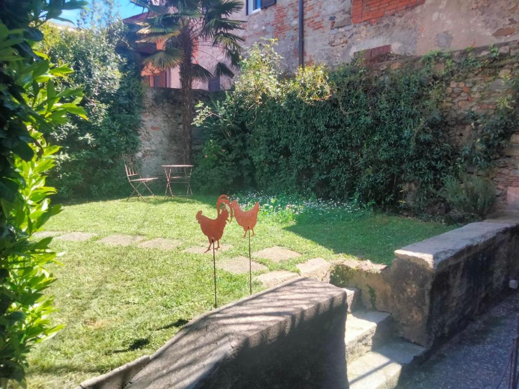 Zahrada ubytování Residenza Esse