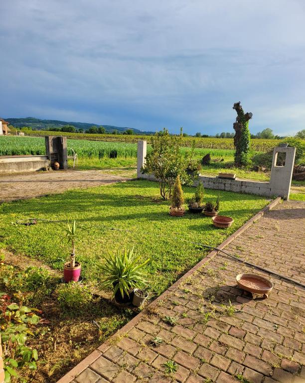 un jardín con macetas y un camino de ladrillo en Casa dei Prati, en Brendola