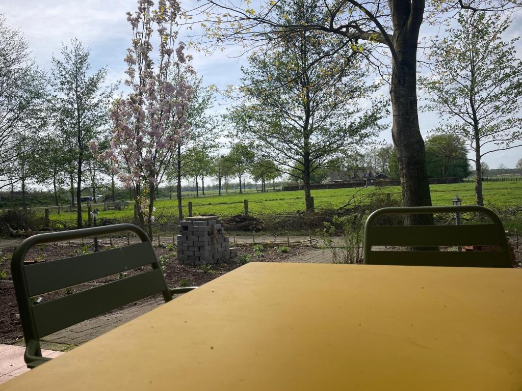 uma mesa amarela e duas cadeiras num parque em BuitenInn het Overveen em Rijssen