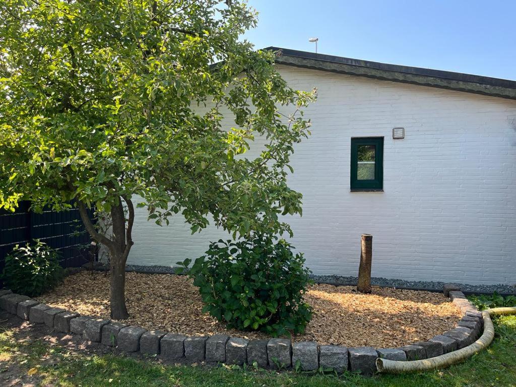 Zahrada ubytování Hus Dunya
