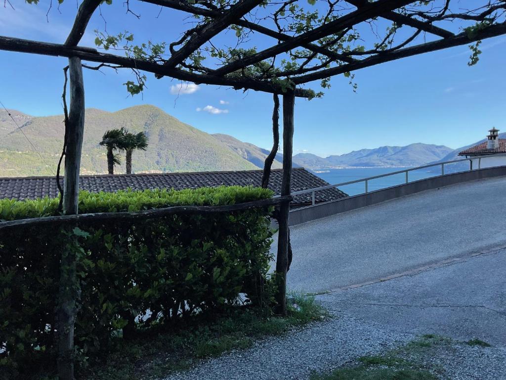 un arbusto junto a una carretera con vistas a una montaña en Beautiful small apartment with Lago Maggiore view, en Brissago