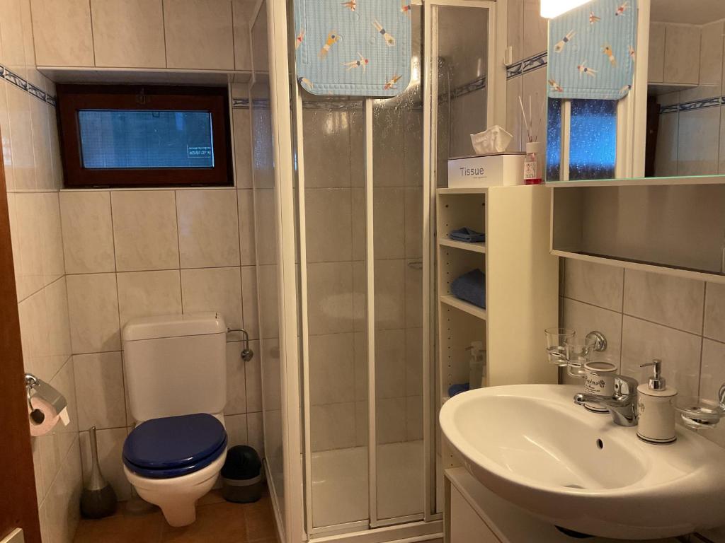 Koupelna v ubytování Beautiful small apartment with Lago Maggiore view