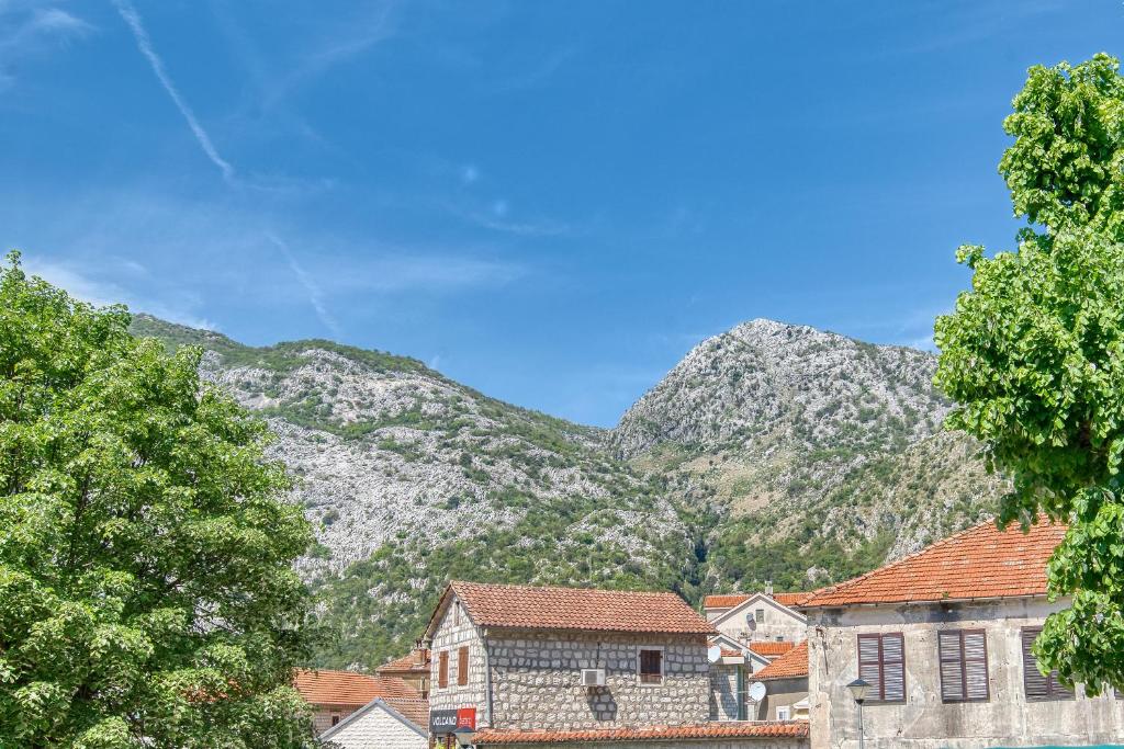 Příroda nedaleko apartmánu