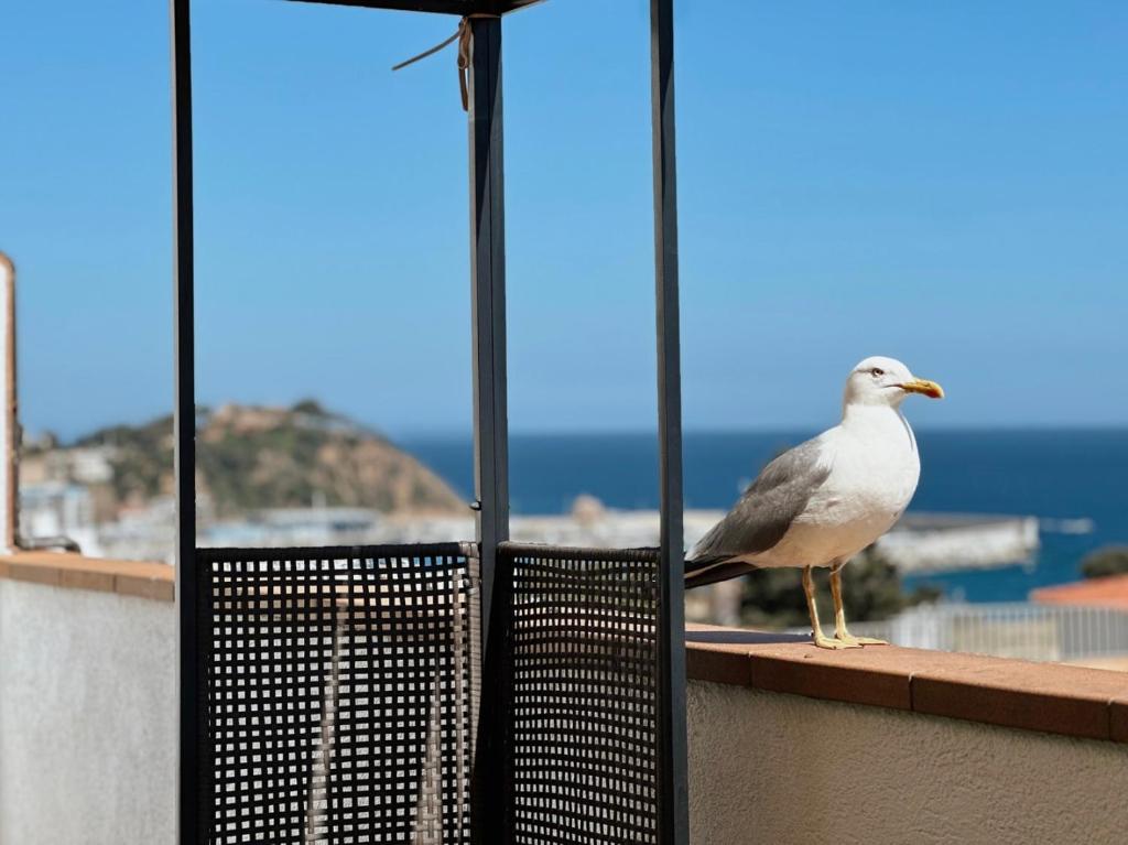 una gaviota parada en una cornisa de un balcón en Ático con Vistas al Mar a un Paso del Centro en Blanes