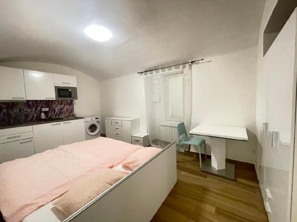 een slaapkamer met een bed, een bureau en een keuken bij Washingtonova apartment 006 in Praag