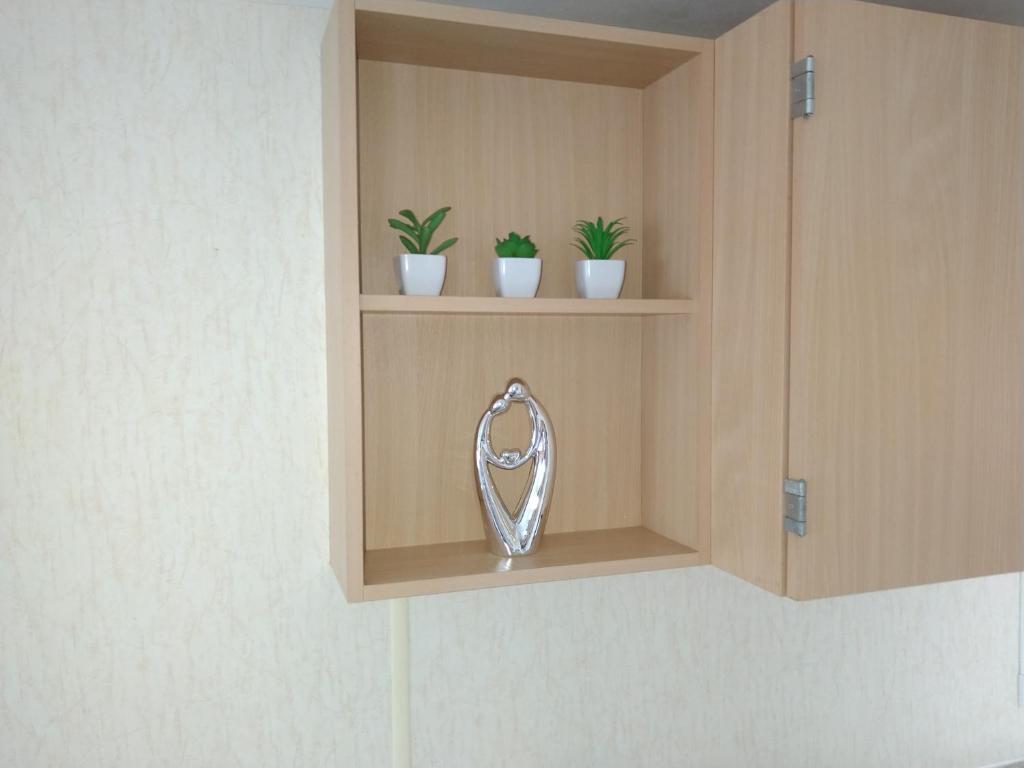 a shelf with two plants and a mirror on it at Caravan for hire in Lancaster