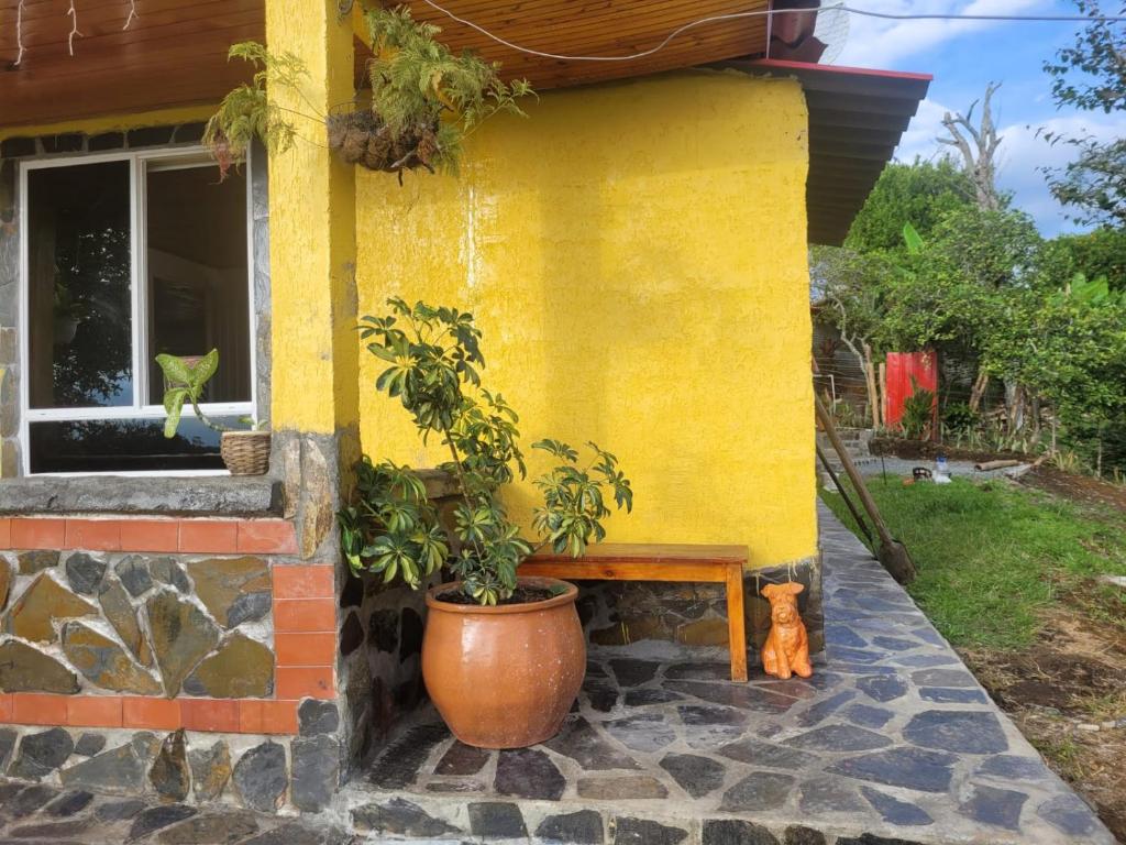Zahrada ubytování Alojamiento EL GITANO
