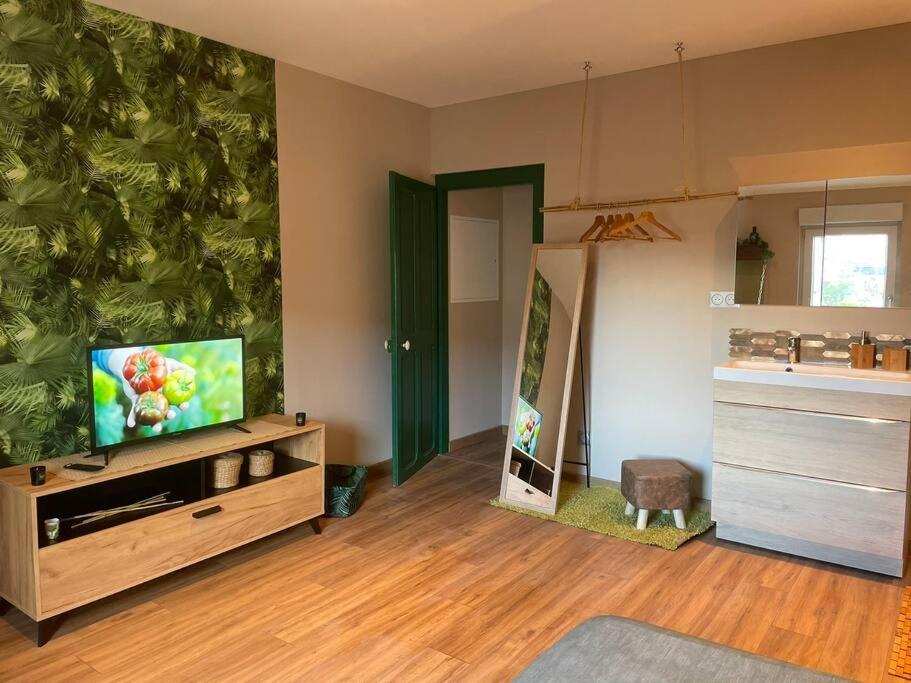 een woonkamer met een flatscreen-tv op een entertainmentcentrum bij Welcome to the Jungle ! in Saint-Dizier
