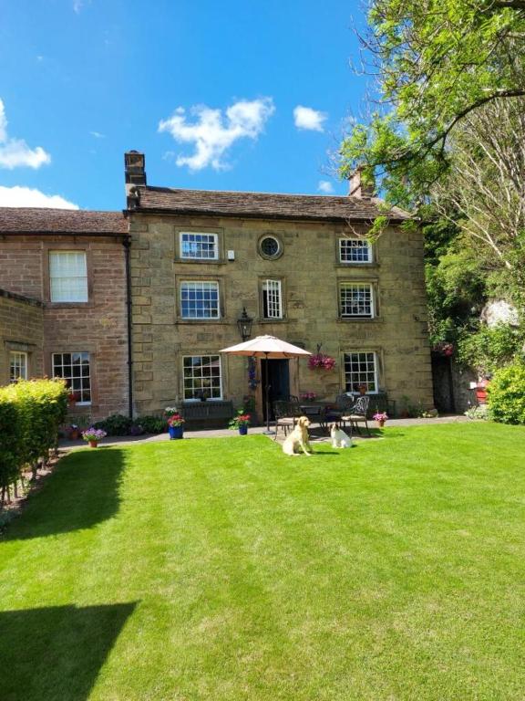 two dogs laying on the grass in front of a house at Rock House BNB in Bakewell