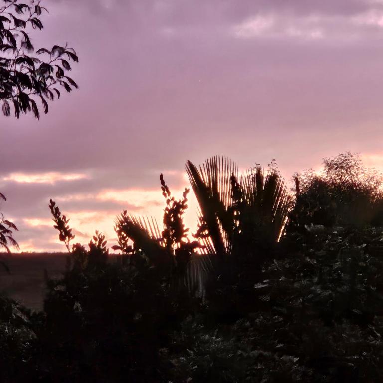 Kerikeri Blue Chair B&B - Resim 35