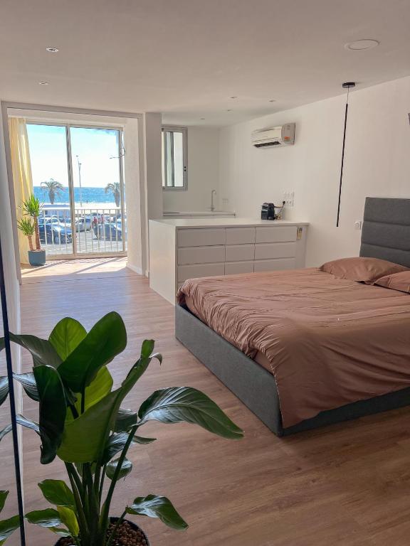 une chambre avec un lit et une cuisine et une plante dans l'établissement Superbe, face à la mer, balneo, rétroprojecteur, à Canet
